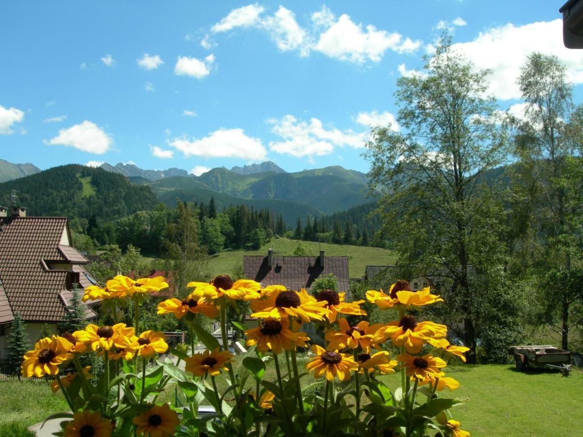 Alesandro * Zakopane