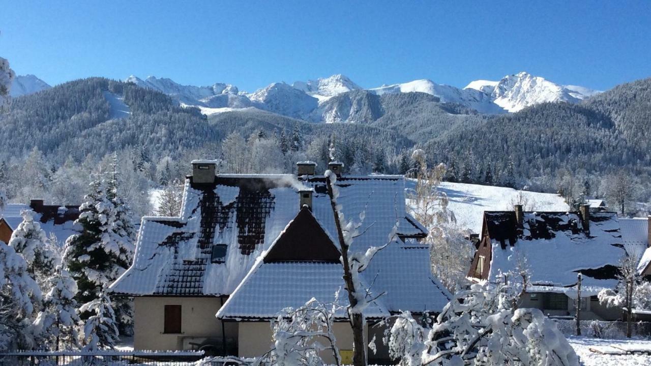 Alesandro Zakopane